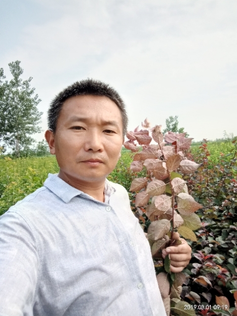 孩子爸的第一张照片--芜湖相亲服务中心