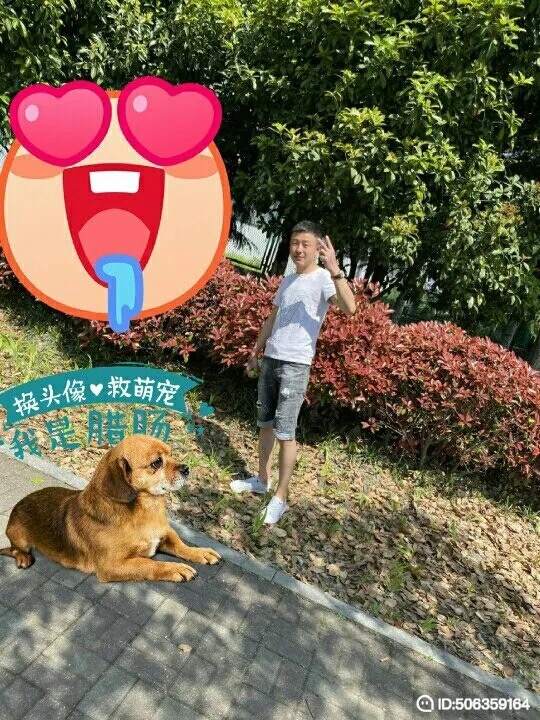我若不坚强谁替我勇敢的第五张照片--芜湖相亲服务中心